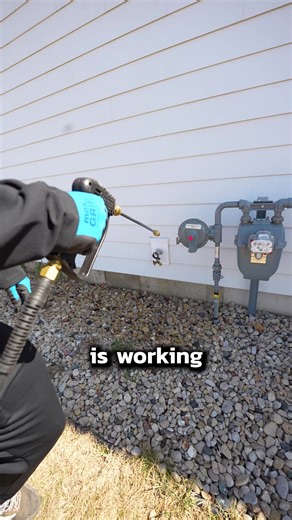 Why You See More Bugs After Pest Control! #pests #pestcontrol | Pest Badger