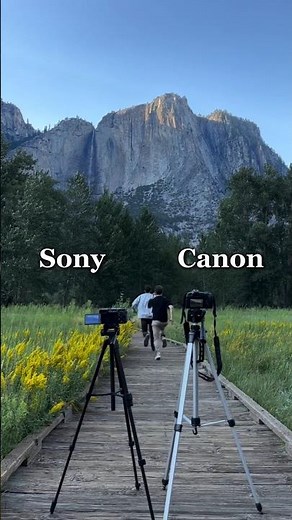 Sony vs Canon Camera Comparison