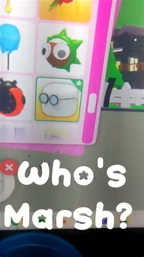 Random thing i have in my #adoptme inv! (they're absurdly valuable)