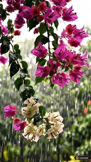 Rain Beading on Velvety African Violets 💜 Deep Piano for Overthinking & Sleep #shorts