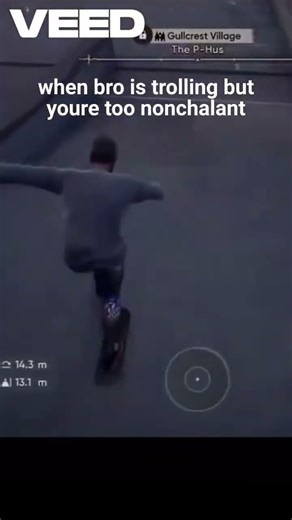 Skate. when bro is trolling but youre too nonchalant