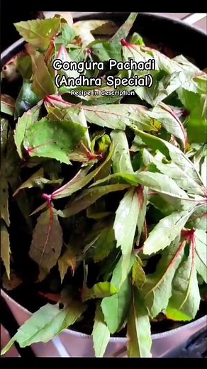 Gongura Pachadi Recipe !!!