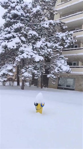 Nature covered in white bed
