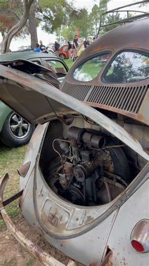 2.1K reactions · 105 shares | Original 1951 split window Volkswagen Beetle | Driven60vw | Facebook