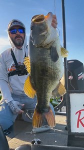 590K views · 14K reactions | What do you think she weighed? @bassmanrandfishing | Ranger Boats | Facebook