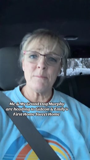 Heather Bell on Instagram: "I'd like you to meet my grand dog Murphy Boy #justthebells10 #murphyboy #bigfamilylife"