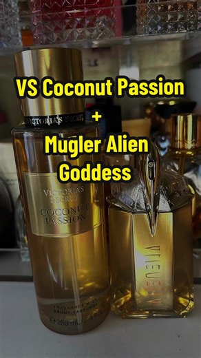“Tropical goddess unlocked 🌺🥥✨ Coconut Passion meets Alien Goddess by Mugler — creamy, sweet & radiant with that warm solar glow. A beachy vanilla-coconut aura that lasts all day 💛☀️🤏🏾🤏🏾🤏🏾🤏🏾🤏🏾🤏🏾 #perfumetiktok #viralvideo #fyp #trendingvideo #fragrance