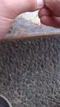 comment faire un petard facilement et avec 3 allumettes