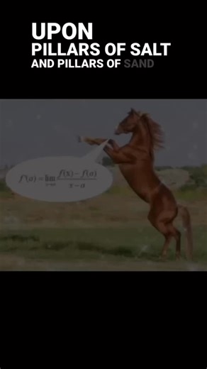 Schola on Instagram: "Then the all knowing mathematical ketamine horses said…let there be math. True story #scholadaily #math #education #calculus #meme #horses #spoken #truth"