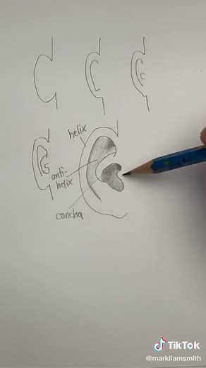 Drawing Ears: Easy Tips for Beginners