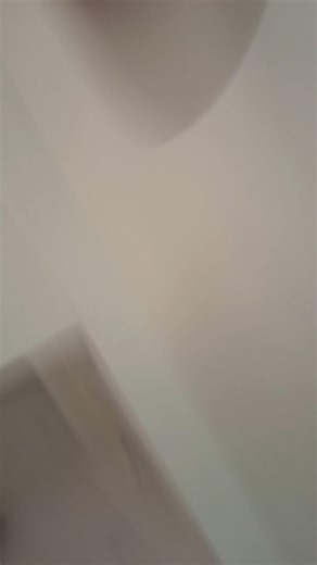 Shrivalli tuna Pyaar♥️🥰#trending #viral #love #shorts #ytshorts #bollywood #lovesong #bolleywoodsong