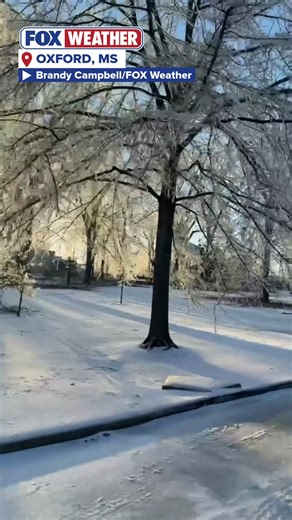 DEVASTATION IN THE SOUTH: Dozens of trees across the Ole Miss campus were brought down due to heavy ice brought on by a powerful and massive winter storm that swept across 2,300 miles of the United States. Stick with FOX Weather for the latest as areas try to recover from the storm: | FOX Weather