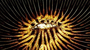 Caught on camera: engineering in action