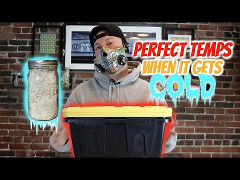 How to make a "Dub tub incubator" for mycology