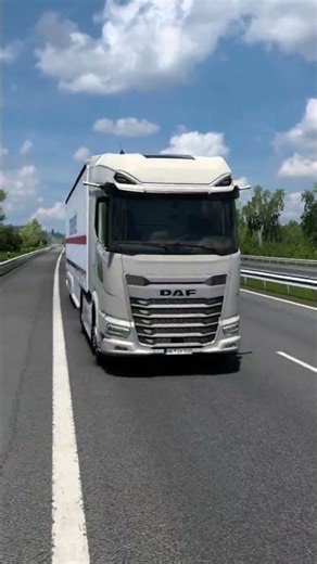 DAF XG+ Quick Job | Empty Pallets Delivery | Kiel to Hamburg | 4K60FPS