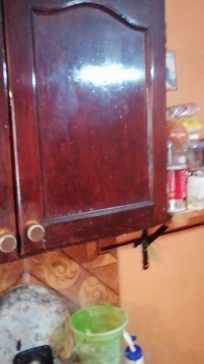 Explore Vintage Wooden Cabinet with Brass Handles