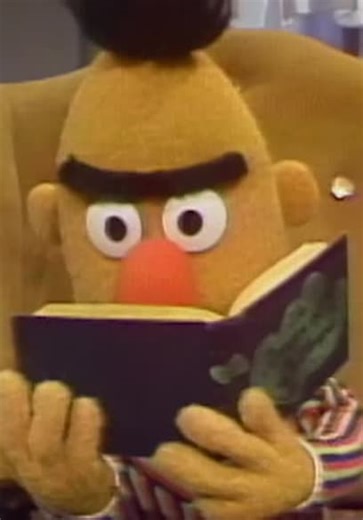 Sesame Street S14:E01 - Big Bird Goes to Camp Echo Rock