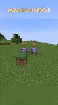 DEVENIR un BLOC ?! Eh oui ! c'est le tuto d'aujourd'hui ! #minecraft #cubes #commands