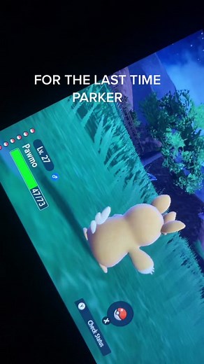 Adorable Pokemon Moments: Silly Little Guys Compilation