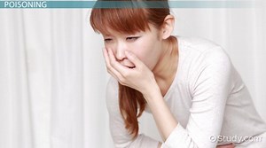 Animal Bites & Poisoning: First Aid