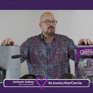 I love Litter Genie! Find out why I believe Litter Genie is a necessity, not a luxury in every cat foster home. To learn more about Litter Genie and for a chance to win $1,000 for you and $1,000 for a shelter or rescue of your choice click the link in Litter Genie bio. The Cat Daddy #LovesLitterGenie! #littergenie | Jackson Galaxy