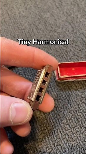 A tiny instrument! #music #harmonica #interesting #song #strange