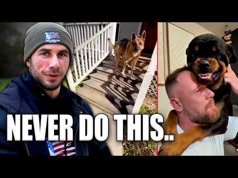 These TikTok Dogs Went Too Far… | Dog Trainer Reacts