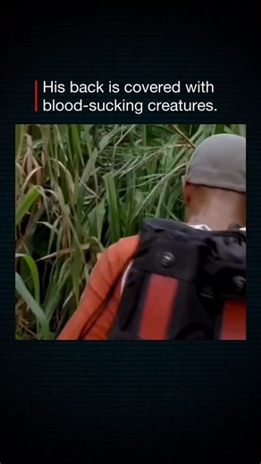 Prime Netflix videos upload here memes and movies on Instagram: "🎬 Interesting Fact: Anacondas: The Hunt for the Blood Orchid (2004) — Bigger, Deadlier, Wilder Anacondas 2 raises the stakes by sending a scientific expedition deep into the Borneo jungle in search of a rare flower rumored to grant extended life. Instead of repeating the first film’s setup, the sequel leans into survival horror and greed-driven ambition. The story mixes creature-feature thrills with jungle adventure, showing how o