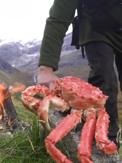 Cooking with DJ Raqi's Love Story Playlist