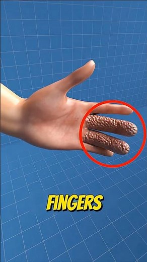 Why Do Fingers Wrinkle in Water? The Truth Will Shock You! 😱