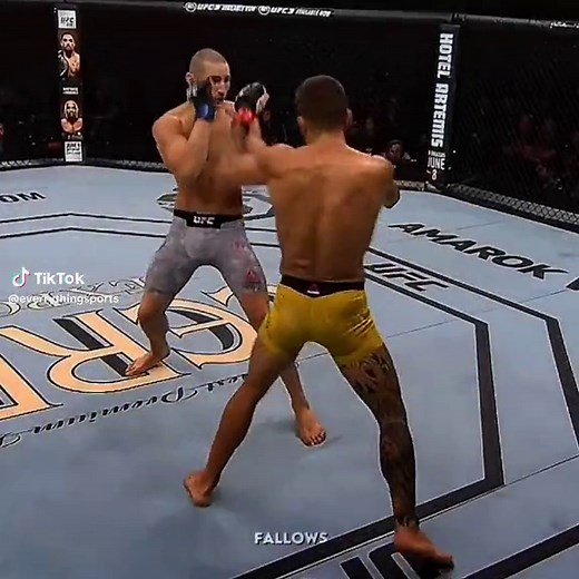 Spinkicks 💀 • #ufc #knockouts