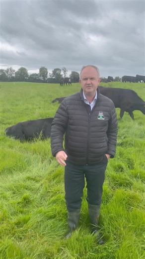 Hugely popular Certified Irish Angus Beef #SchoolsCompetition to return to #Ploughing2024 taking place in Ratheniska, Co Laois on September 17th, 18th & 19th….tickets now available to purchase pls see www.NPA.ie | National Ploughing Championships