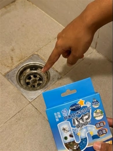 How to Eliminate Flies and Odors in Your Toilet