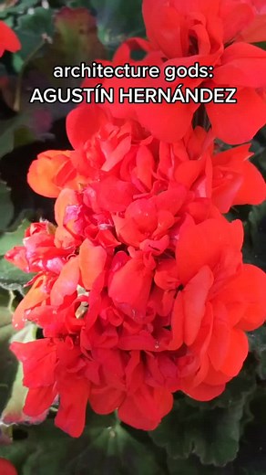 Wacomo Music: An Architectural Remix