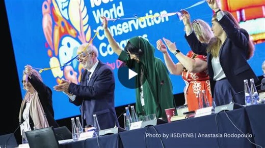 Reimagining Conservation: Reflections on Nine Years as IUCN CEESP Chair