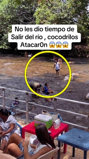 No les dio tiempo de Salir del río , cocodrilos Atacar0n 😱😱😱
