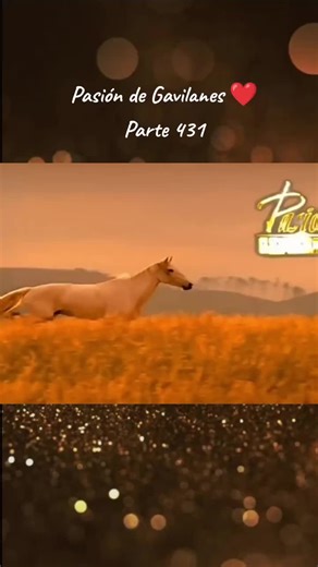 Pasión de Gavilanes T1 Capitulo 88 Parte 1 ❤️🎬