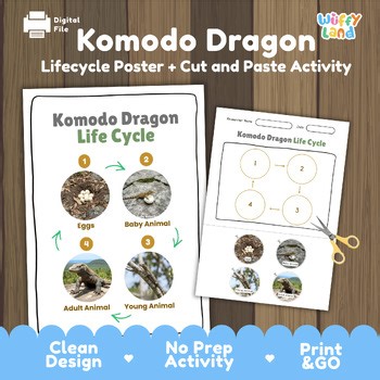 Komodo Dragon Life Cycle Chart & Cut and Paste Activity | Reptile Biology