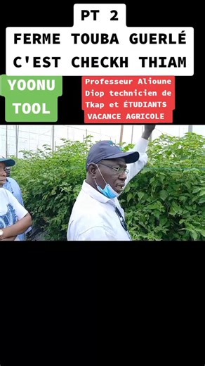 13K views · 342 reactions | @Younutool a joal visite FERME TOUBA GUERLÉ DE CHEICKH THIAM PROFESSEUR ALIOUNE DIOP TECHNICIEN DE TKAP FAIT UNE EXPOSÉ AVEC LES VACANCIERS VACANCE AGRICOLE DANS LE FERME TOUBA GUERLÉ | Yoonu tool1 | Facebook