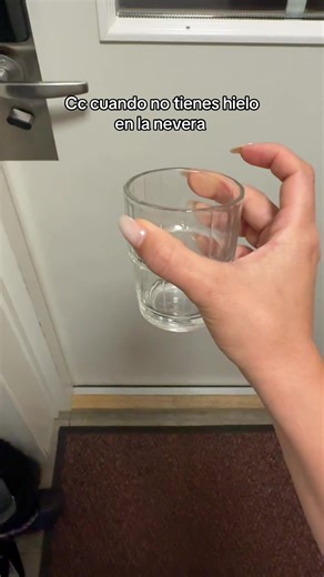 #nevera #skincare #rutina #hielo #fy