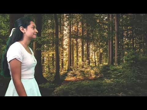 The Adventures of Isabel