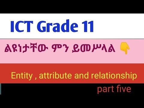 Grade 11 ICT chapter three Data model amharic vidio