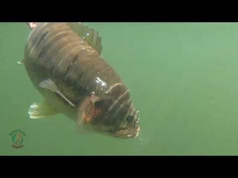 Welcome to Mantrap Lodge