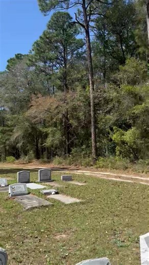 The Dramatic Auntie Meme Explained