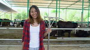 Beautiful Asian Woman Farmer Cows Cowshed Stock Footage Video (100% Royalty-free) 1013830727 | Shutterstock