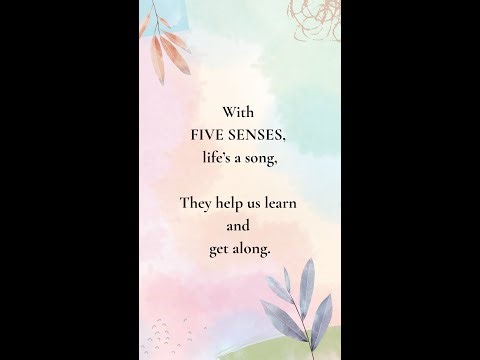 👀👂 My Five Senses | Fun Learning Poem for Kids 🎶 | Little Gems