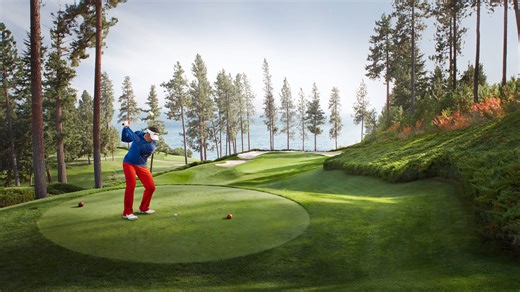 I worked at a high-end golf course - their lawn trick made the grass so green