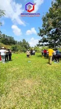 The password and project team building activities for small and large groups #reels #teambuilding