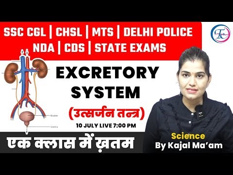Biology Theory Class | EXCRETORY SYSTEM (उत्सर्जन तन्त्र) B.Sc First Year | By kajal Ma'am