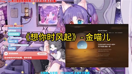 【金喵儿】《想你时风起》翻唱 （直播切片）
